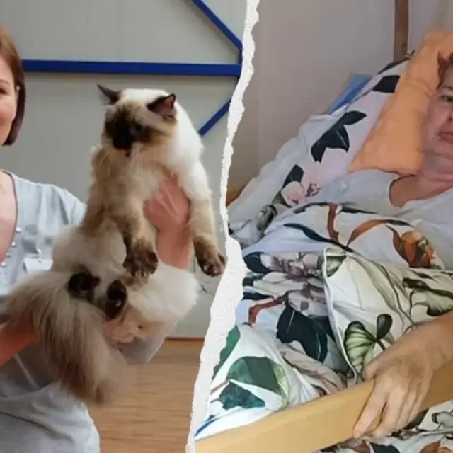 Katarzyna Zabiegło - zbiorka na leczenie