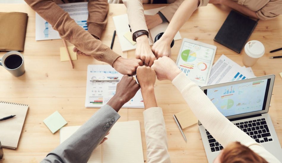 organizacje pożytku publicznego definicja