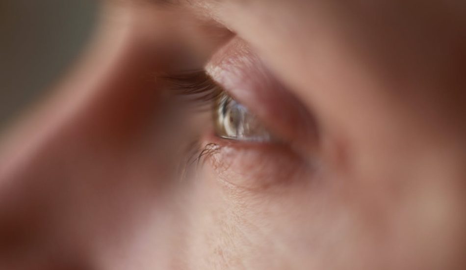 strach przed zbiórką